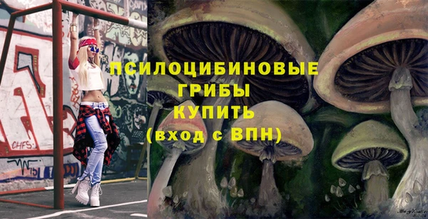 круглые Алзамай