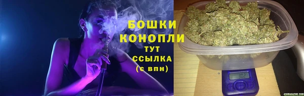 индика Нефтекумск